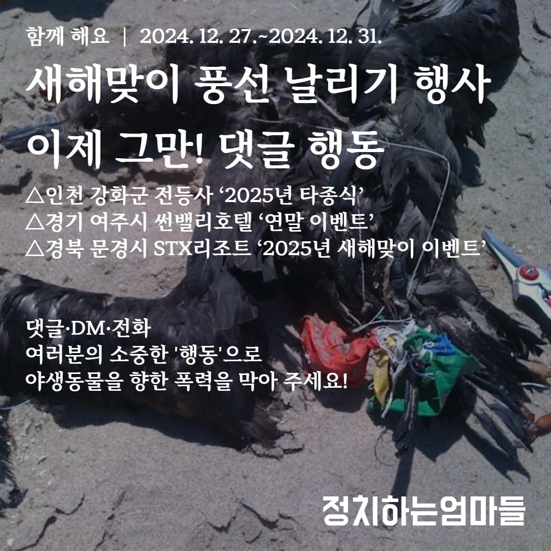 웹자보